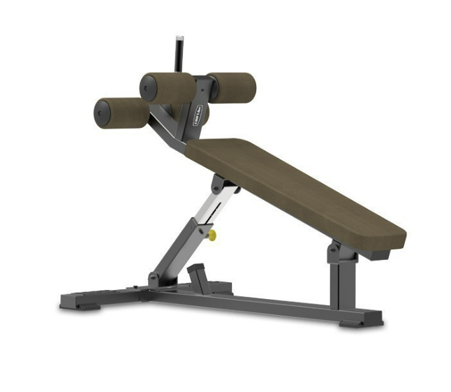 Professional Ab Bench